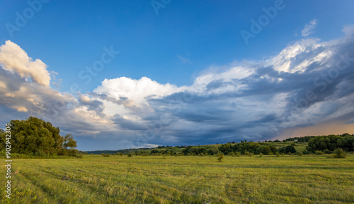 A sprawling meadow bathed in golden light with a distant line of trees. The sky above is a magnificent tapestry of fluffy white and stormy grey clouds, hinting at a approaching rain.