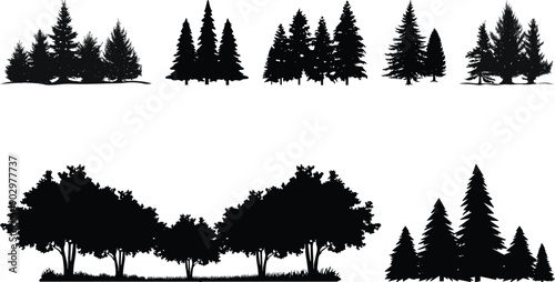 Set of Tree collection
