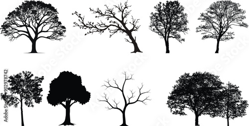 Set of Tree collection