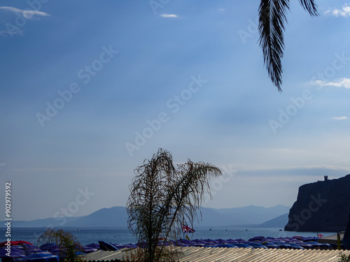 Panoramic view of beautiful coastline of the Ligurian sea on sunny summer day seen from Baba Beach, Alassio, Savona, estern coast of Liguria, Northern Italy, Europe. Palm tree leaves in foreground photo