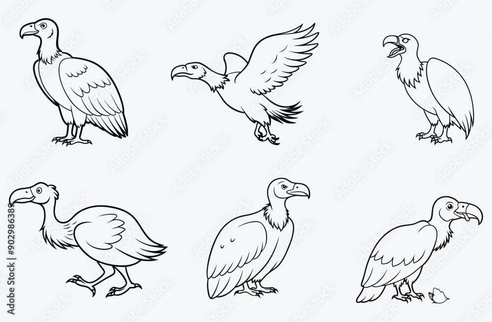 Fototapeta premium Elegant Vulture Line Art Vector - Detailed Monochrome Illustration