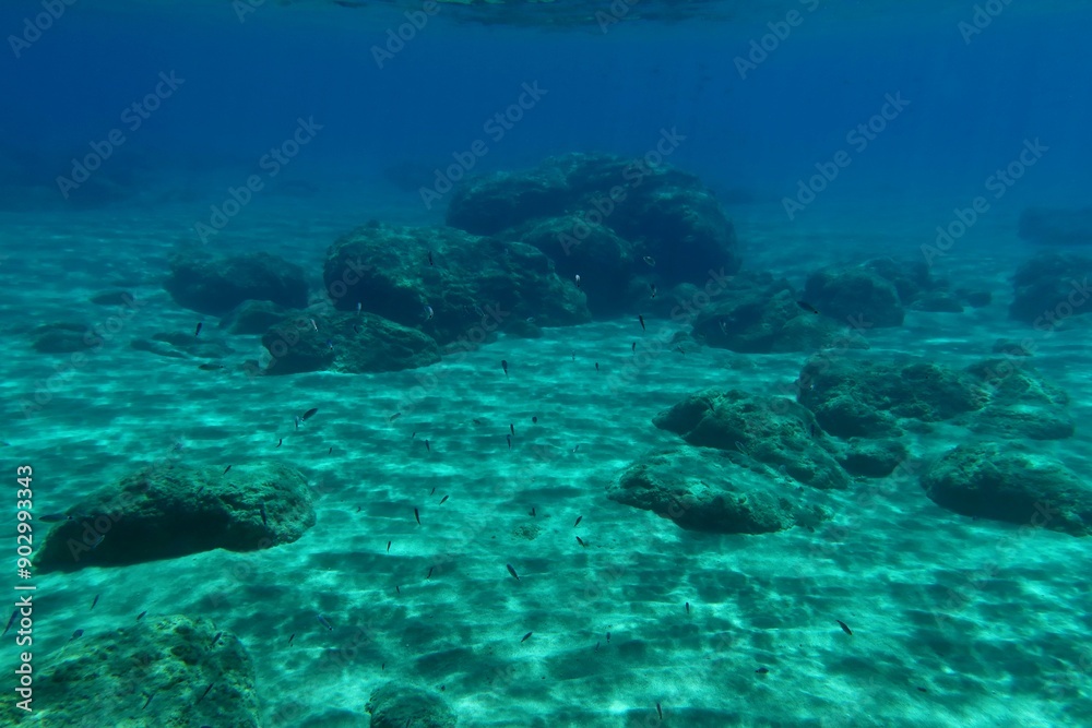 Underwater landscape with rocks and swimming fish, blue sea. Seascape with the marine life, underwater photography from snorkeling. Clear ocean and aquatic wildlife. Travel photo, fish in the water. Underwater landscape with rocks and swimming fish, blue sea. Seascape with the marine life, underwater photography from snorkeling. Clear ocean and aquatic wildlife. Travel photo, fish in the water.