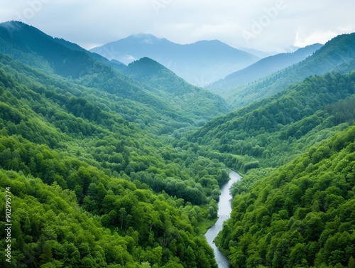 Forested valley with a river flowing through, natural resources, habitat diversity