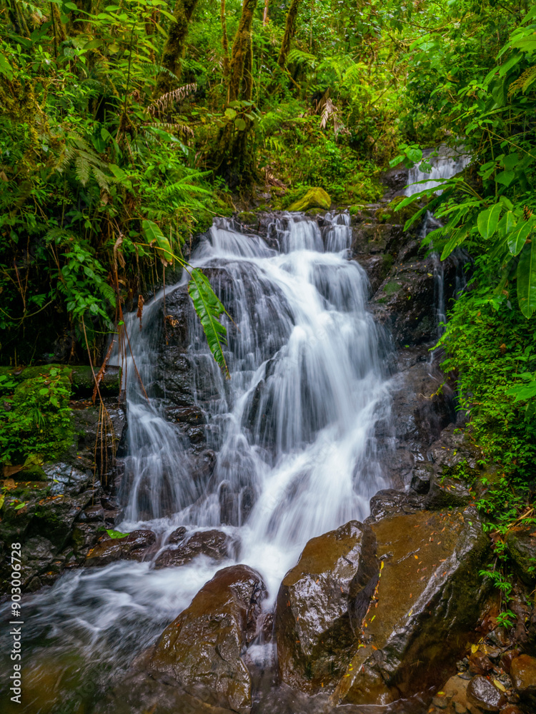Beautiful waterfall, stream and lush rainforest in Barú volcano national park, Chiriqui, Panama - stock photo Beautiful waterfall, stream and lush rainforest in Barú volcano national park, Chiriqui, Panama - stock photo