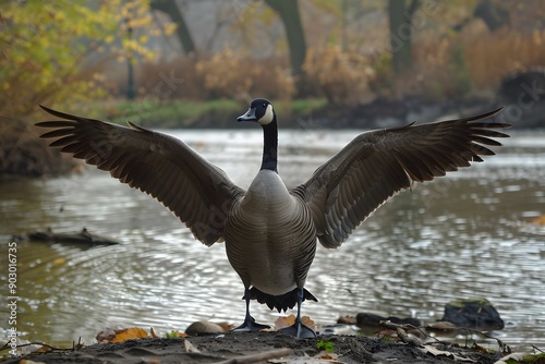 Majestic Goose Spreading Its Wings by the Water's Edge