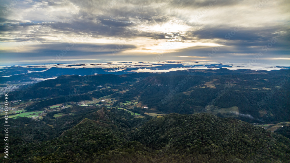 Urubici in Santa Catarina, Brazil. Aerial view. Araucaria trees. Urubici in Santa Catarina, Brazil. Aerial view. Araucaria trees.