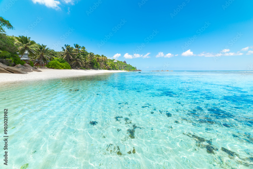 Fototapeta premium Turquoise water and palm trees in a tropical beach