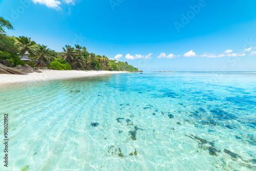 Turquoise water and palm trees in a tropical beach