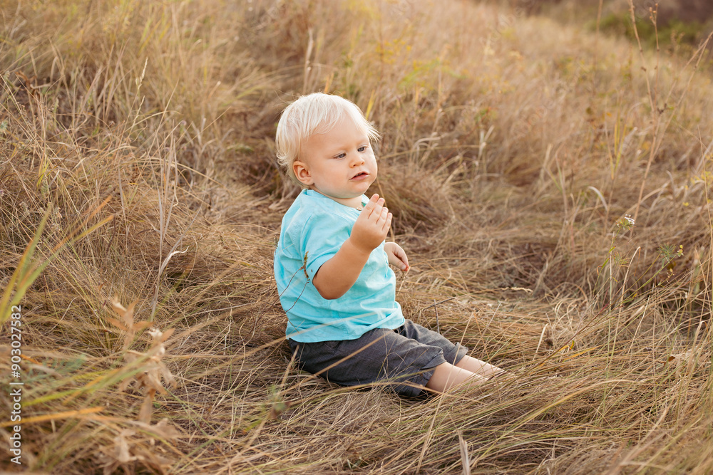 Baby boy on nature in summer playing on grass with sun rays on sunset Baby boy on nature in summer playing on grass with sun rays on sunset