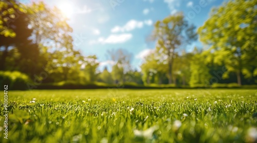 Beautiful blurred background image of spring nature with a neatly trimmed lawn surrounded by trees against a blue sky with clouds on a bright sunny day : Generative AI