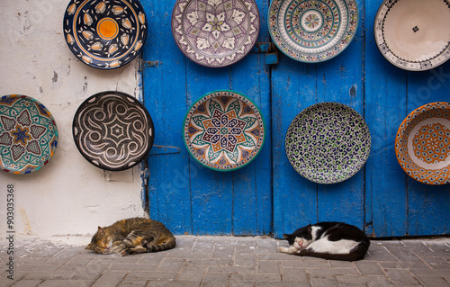 Two cats sleep in front of Moroccan pottery hung on a wall in Essaouira, Morocco
 photo