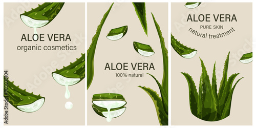 Aloe vera plant collection. Hand drawn vector illustration. Natural cosmetic ingredient. Botanical concept.