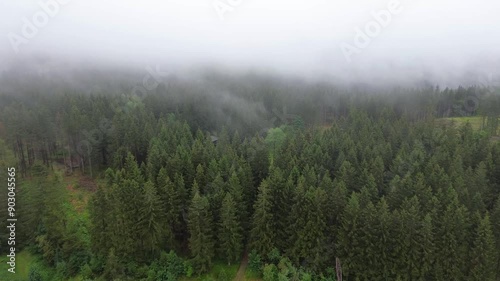 aerial flight over dark spruce forest with fog