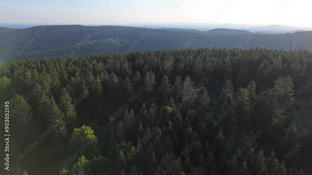 aerial flyover dark spruce forest in mountains while sunset aerial flyover dark spruce forest in mountains while sunset