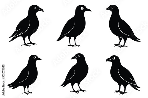 bald bird silhouette vector illustration set