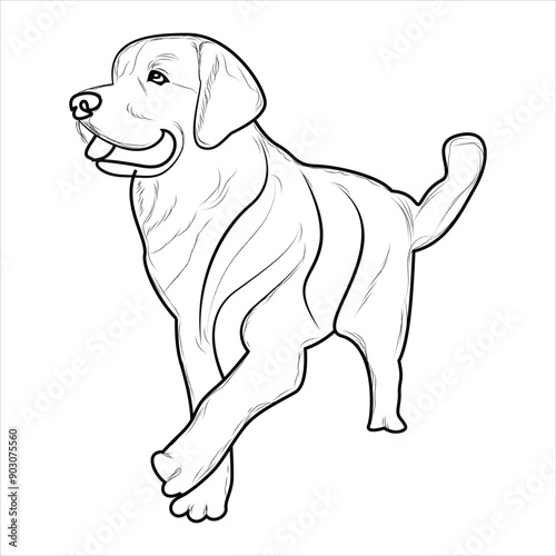 Golden Retriever Dog Coloring Book or page for Kids. Retriever Dog Vector illustration