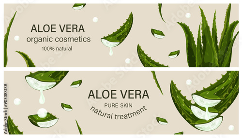 Aloe vera plant collection. Hand drawn vector illustration. Natural cosmetic ingredient. Botanical concept.