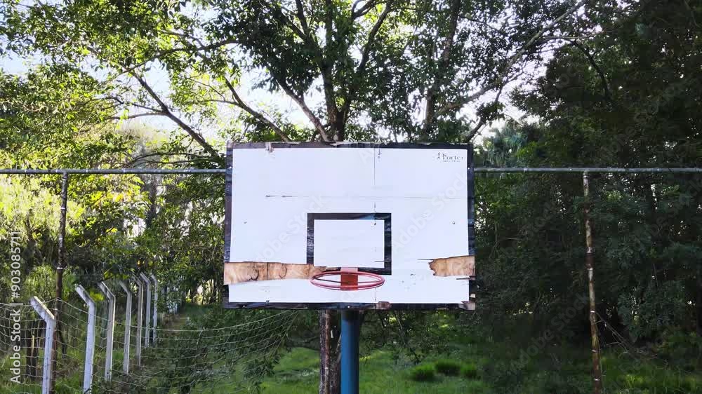 Tabela de basquete abandonada com natureza ao redor Tabela de basquete abandonada com natureza ao redor