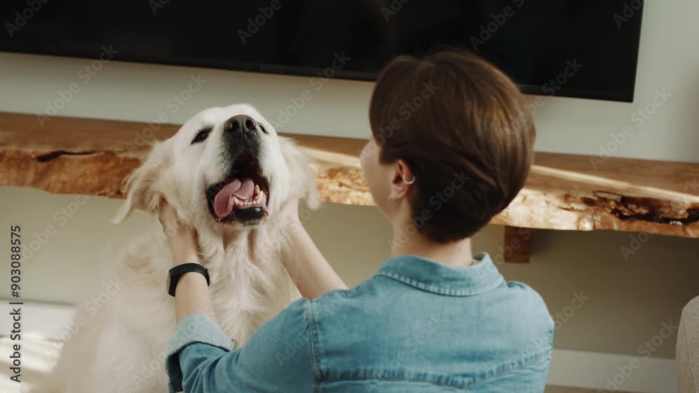 Joyful Interaction Between a Young Lady and Her White Golden Retriever as She Pets and Scratches the Happy Dog in a Comfortable Living Room Joyful Interaction Between a Young Lady and Her White Golden Retriever as She Pets and Scratches the Happy Dog in a Comfortable Living Room