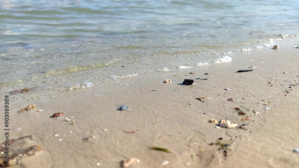 Close-up side view of sand and stones on river beach in a sunny day. Product placement. Copy space. Soft focus. Environmental issues. Abstract natural background. Summer vacation theme.