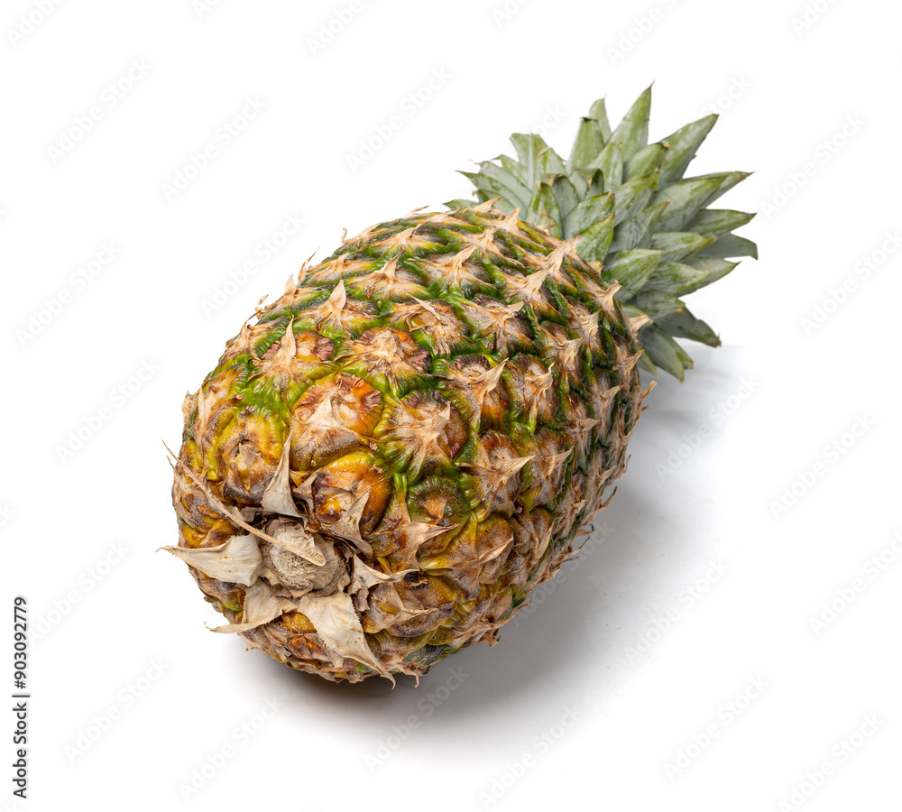 Whole Pineapple Isolated, Whole Ananas, Comosus Tropical Fruit, Ripe Pine Apple on White Whole Pineapple Isolated, Whole Ananas, Comosus Tropical Fruit, Ripe Pine Apple on White