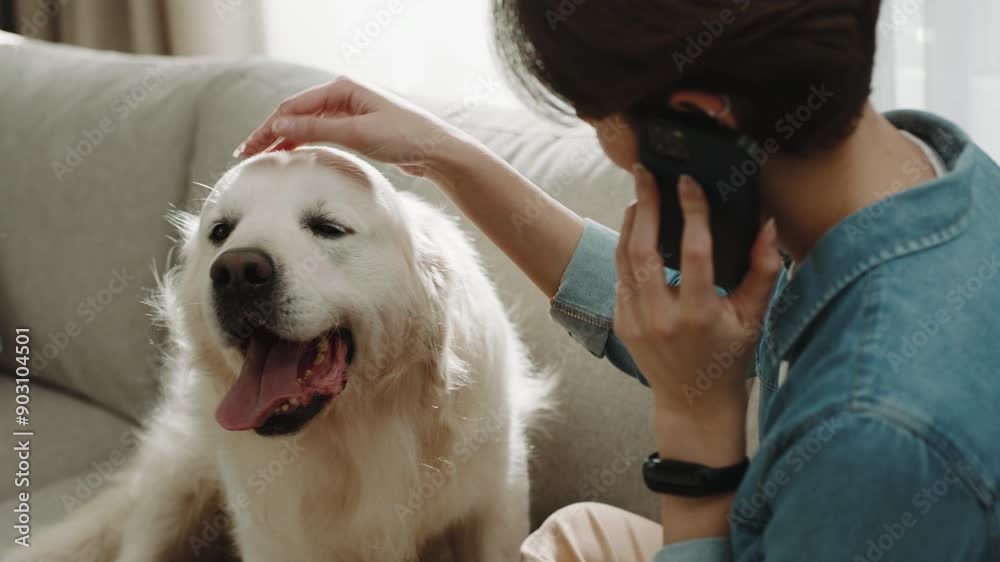 Busy Home Office: Woman Scratches Her Golden Retriever While Discussing on the Phone, Enjoying a Relaxed and Cozy Living Room Environment Busy Home Office: Woman Scratches Her Golden Retriever While Discussing on the Phone, Enjoying a Relaxed and Cozy Living Room Environment