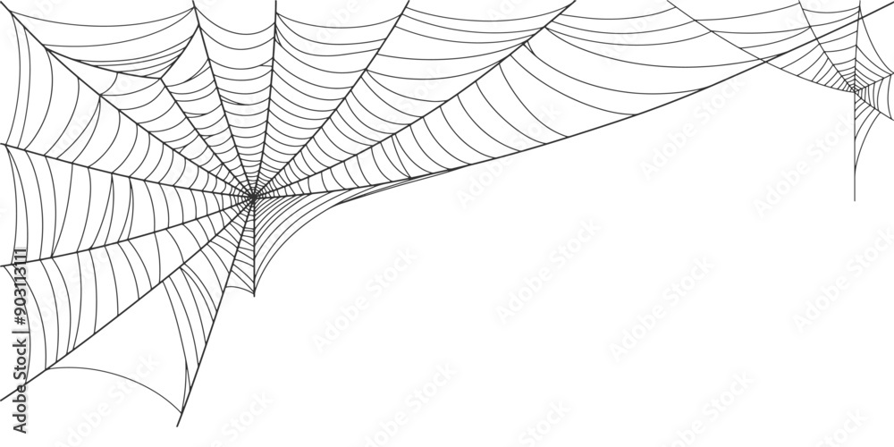 illustration of a spider web halloween frame, spider web vector eps