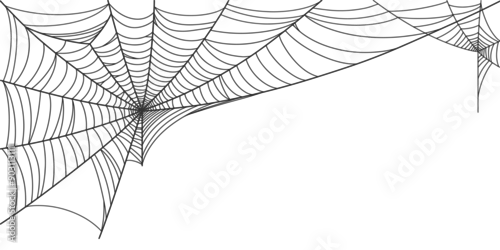 Obraz illustration of a spider web halloween frame, spider web vector eps