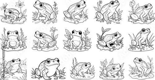 Wood Frog hand drawing coloring page and outline vector design