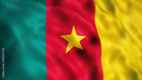Cameroon Flag Animation Close-up (Depth Of Field)
