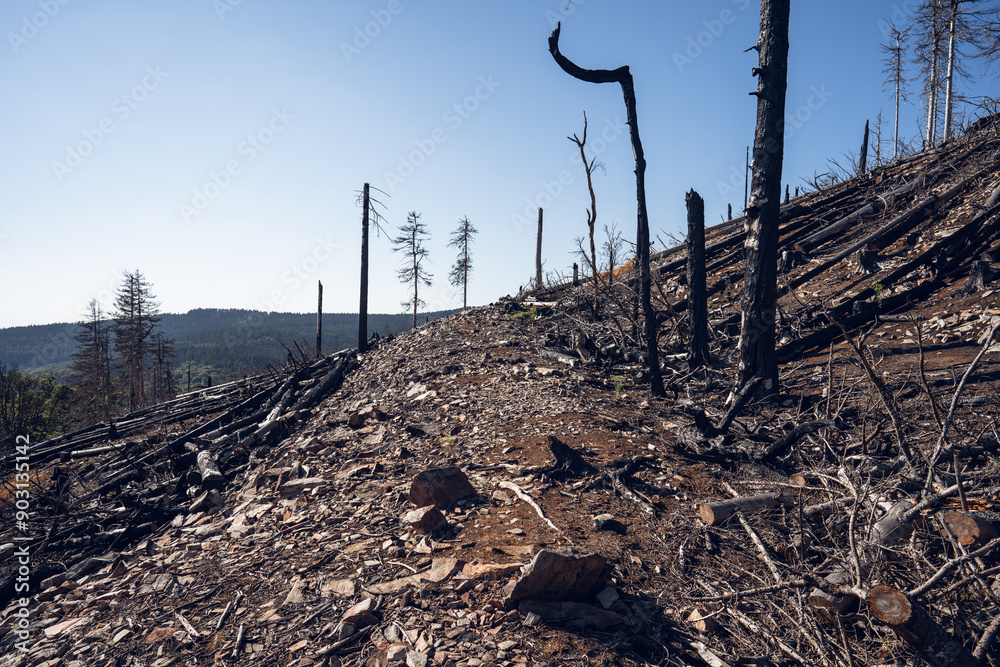 Eisenzeitliche Ringwälle am Altkönig im Taunus, Juli 2024