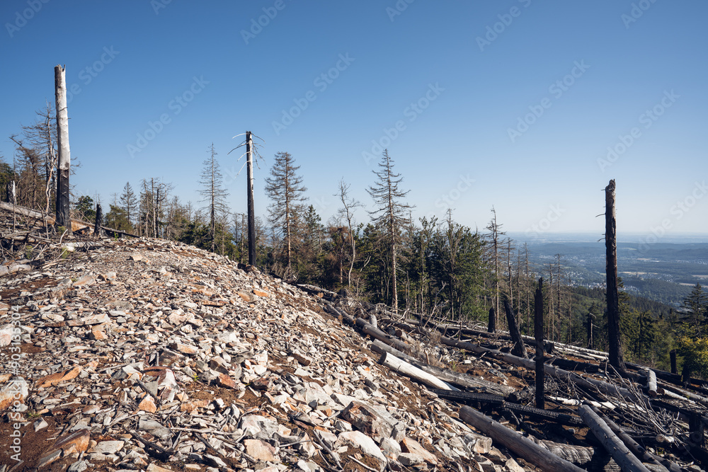 Eisenzeitliche Ringwälle am Altkönig im Taunus, Juli 2024