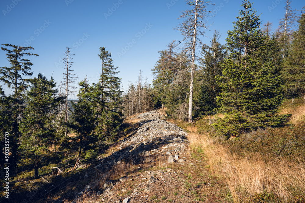 Eisenzeitliche Ringwälle am Altkönig im Taunus, Juli 2024