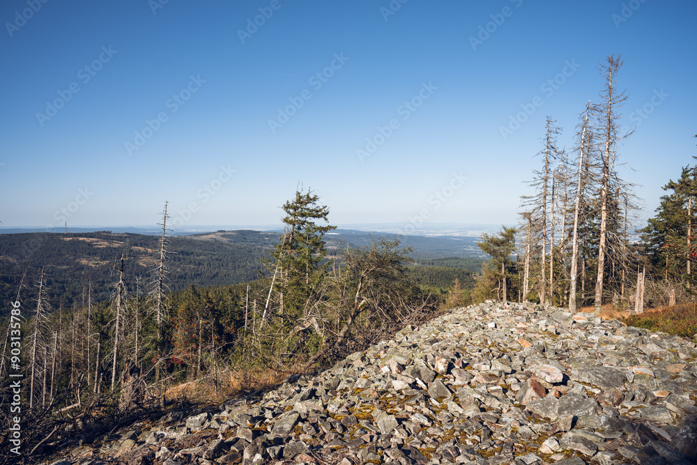 Eisenzeitliche Ringwälle am Altkönig im Taunus, Juli 2024