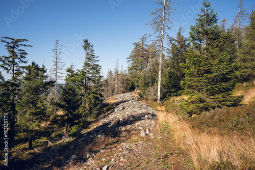 Obraz na płótnie Eisenzeitliche Ringwälle am Altkönig im Taunus, Juli 2024 w salonie