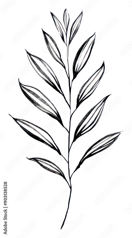 PNG Plant leaf tree pattern drawing sketch.