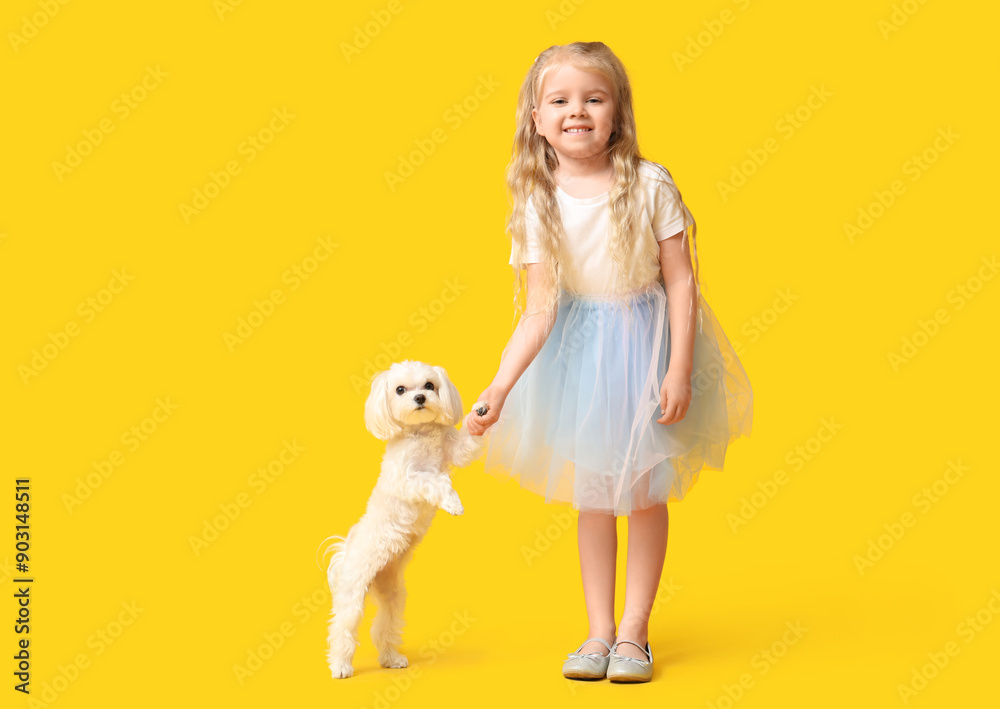 Maltese dog giving paw to cute little girl on yellow background Maltese dog giving paw to cute little girl on yellow background