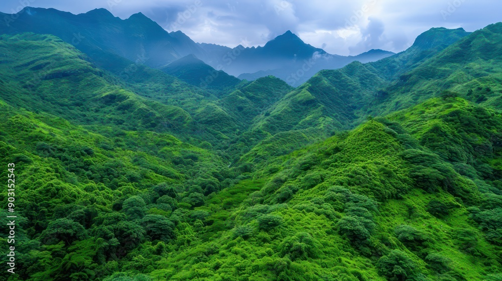 The lush green mountainside is a beautiful and serene landscape. The trees are tall and dense, creating a sense of depth and grandeur. The sky above is cloudy, adding a sense of mystery The lush green mountainside is a beautiful and serene landscape. The trees are tall and dense, creating a sense of depth and grandeur. The sky above is cloudy, adding a sense of mystery