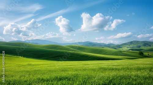 A large, open field with a clear blue sky and fluffy clouds. The sky is dotted with clouds, and the sun is shining brightly. The field is lush and green, with a few trees scattered throughout