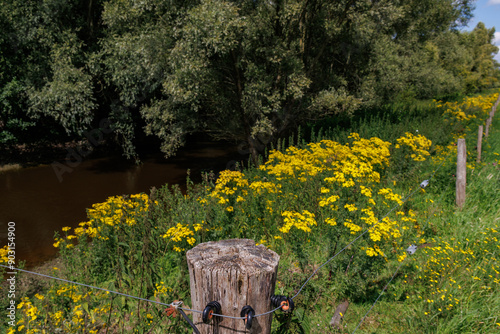 Borculo im holländischen Gelderland photo