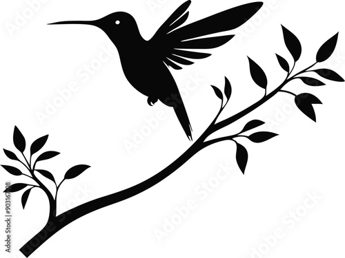 bird, vector, animal, silhouette, 