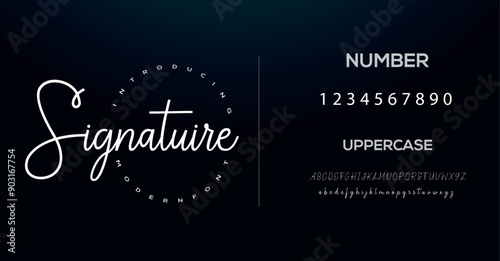 signature Font Calligraphy Logotype Script Brush Font Type Font lettering handwritten
