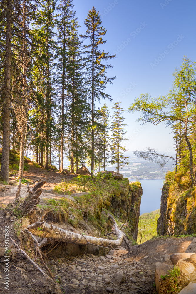 The Split Cliffs of Mørkgonga Nature Reserve The Split Cliffs of Mørkgonga Nature Reserve