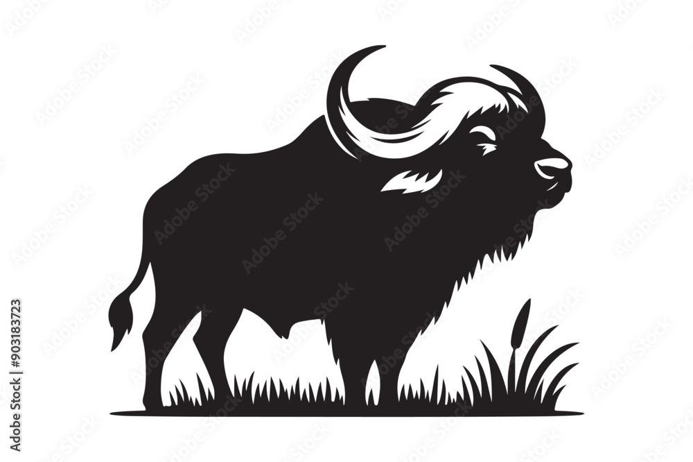 Buffalo silhouette vector illustration Buffalo silhouette vector illustration