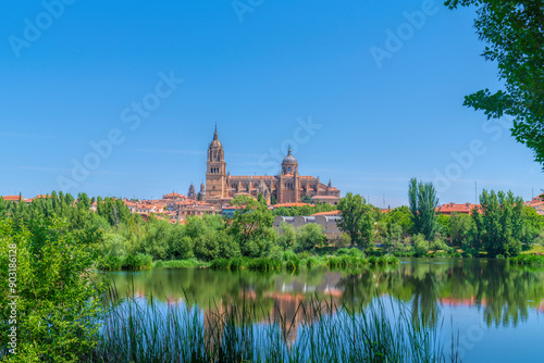 Salamanca Spain view with green trees and reeds from river Castile and Leon historic city photo