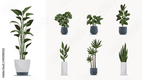 Big indoor plants pack. Elements for animation, design interiors, game, advertisign, illustration or web. Collection of green homeplants in pots, flat style