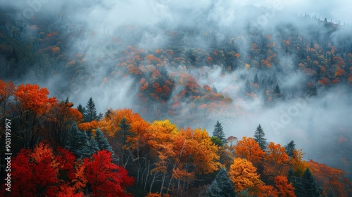 Vibrant fall foliage amidst misty mountains in autumn landscape