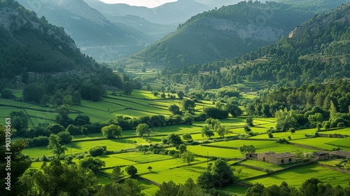 Verdant countryside of teruel during early morning light