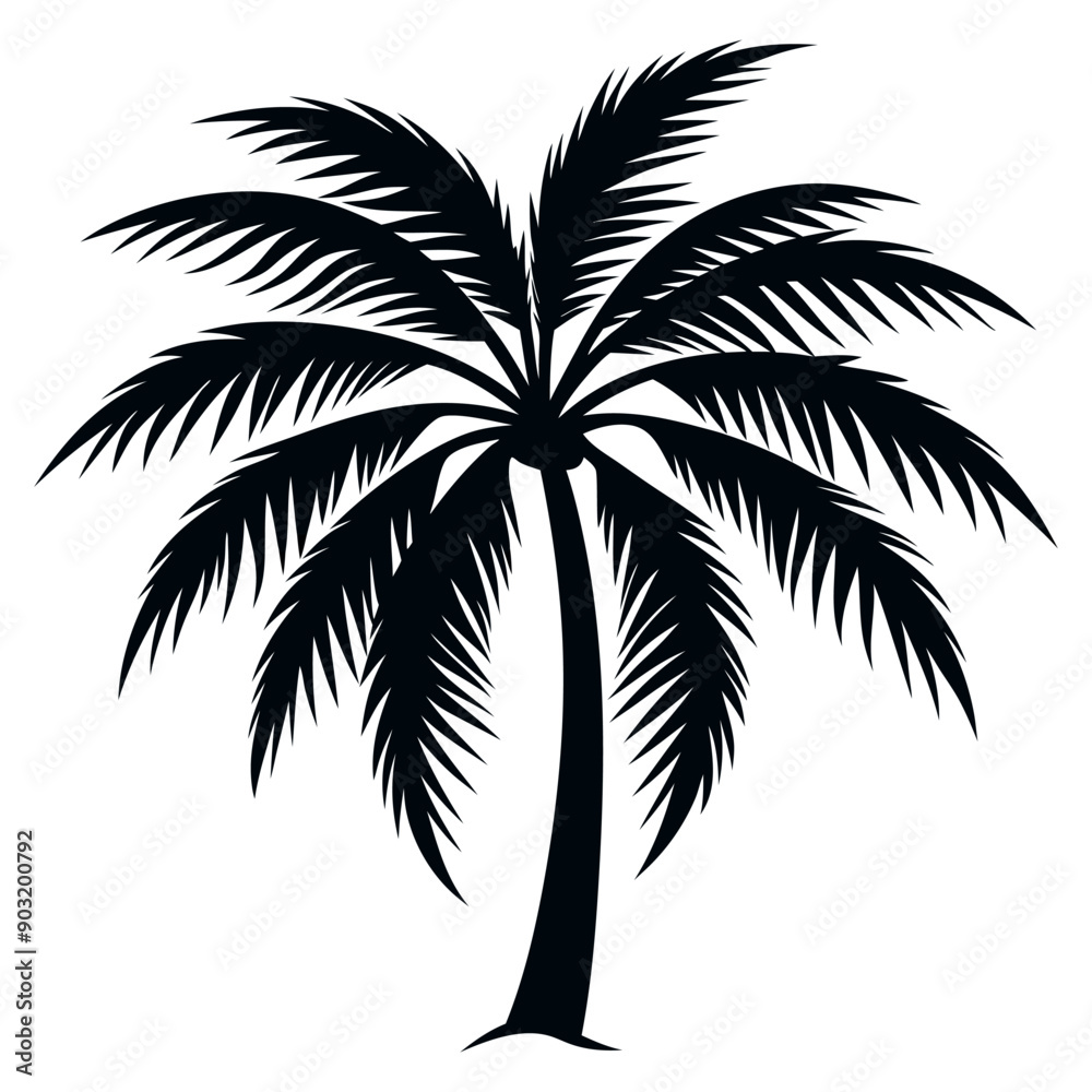 palm tree silhouette, silhouette of trees, silhouette of tree palm tree silhouette, silhouette of trees, silhouette of tree