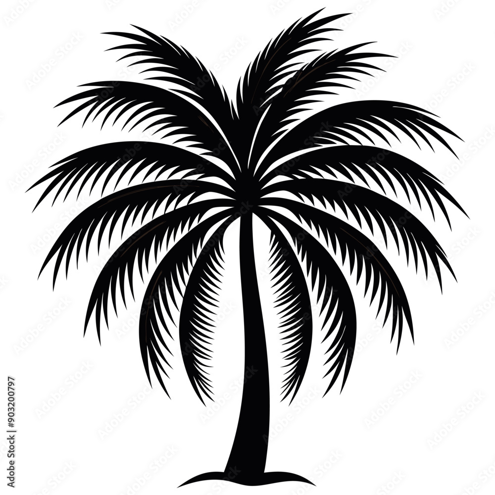 palm tree silhouette, silhouette of trees, silhouette of tree palm tree silhouette, silhouette of trees, silhouette of tree